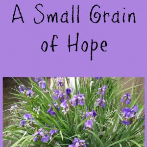 A Small Grain of Hope