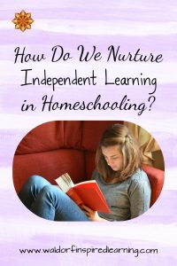 Weaning Our Children to Nurture Independent Learning