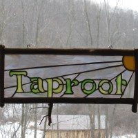 Taproot Reflections