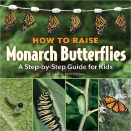 How to Raise Monarch Butterflied