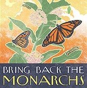 Searching for Monarch Eggs