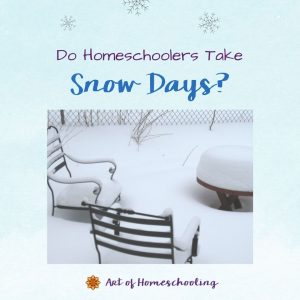 Do Homeschoolers Take Snow Days?