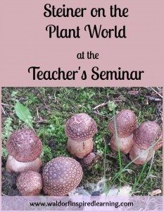 Steiner on Plant World