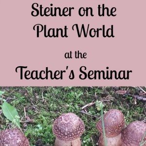 Steiner on the Plant World at the Teacher’s Seminar