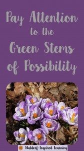Pay Attention to the Green Stems of Possibility