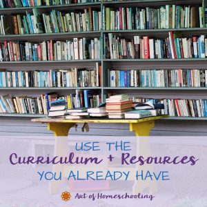 Use the Curriculum and Resources You Already Have