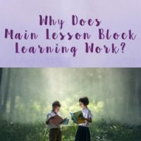 Why Does Main Lesson Block Learning Work?