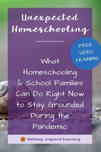Homeschooling from Home