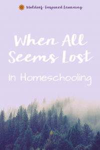When All Seems Lost in Homeschooling