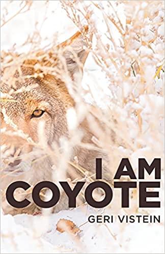 If you're homeschooling multiple ages, stories make great teachers! Here you'll find ideas, how tos, and a free book study guide for "I AM COYOTE" by Geri Vistein.
