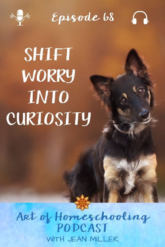 When worry & anxiety take over, a small mindset shift can bring more ease & compassion into your homeschool. Shift worry into curiosity. 