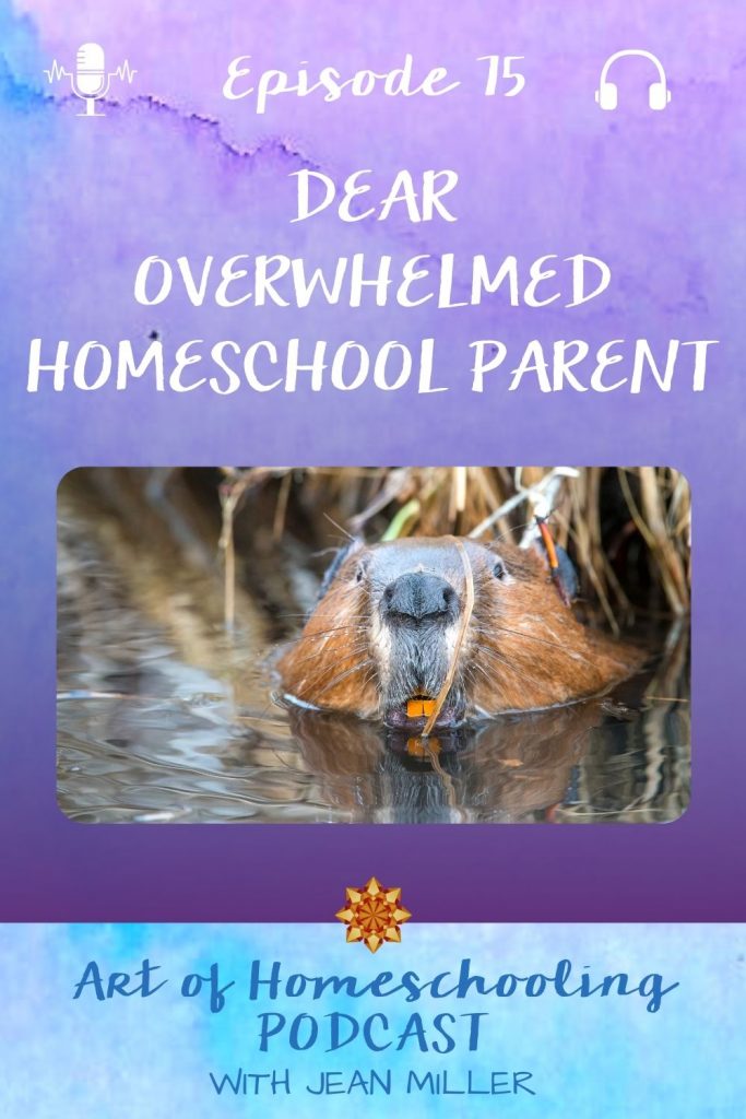 Dear Overwhelmed Homeschool Parent
