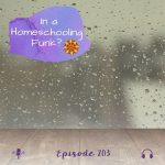 In a Homeschooling Funk?