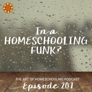 In a Homeschooling Funk?