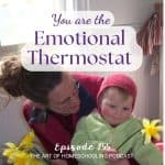 You Are the Emotional Thermostat
